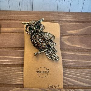 Owl Barn Owl Pin Jewelry Brooch Fashion Jewelry FAST SHIP